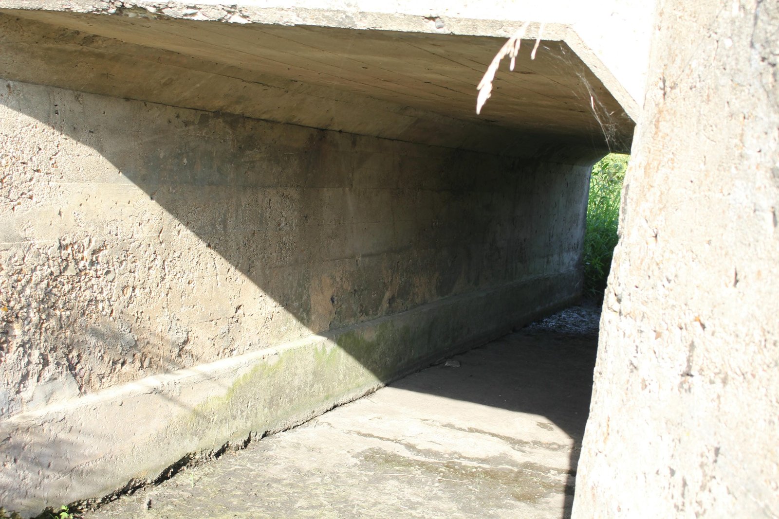 Under culvert